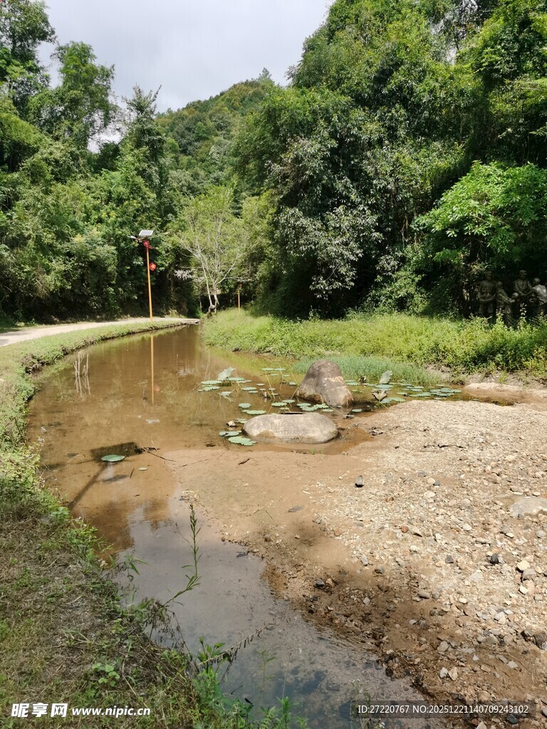 林间小溪 自然静谧之景