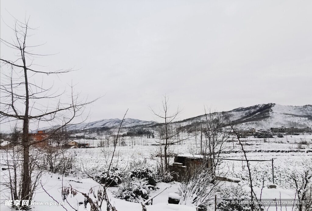 冬日雪景中的萧瑟田野
