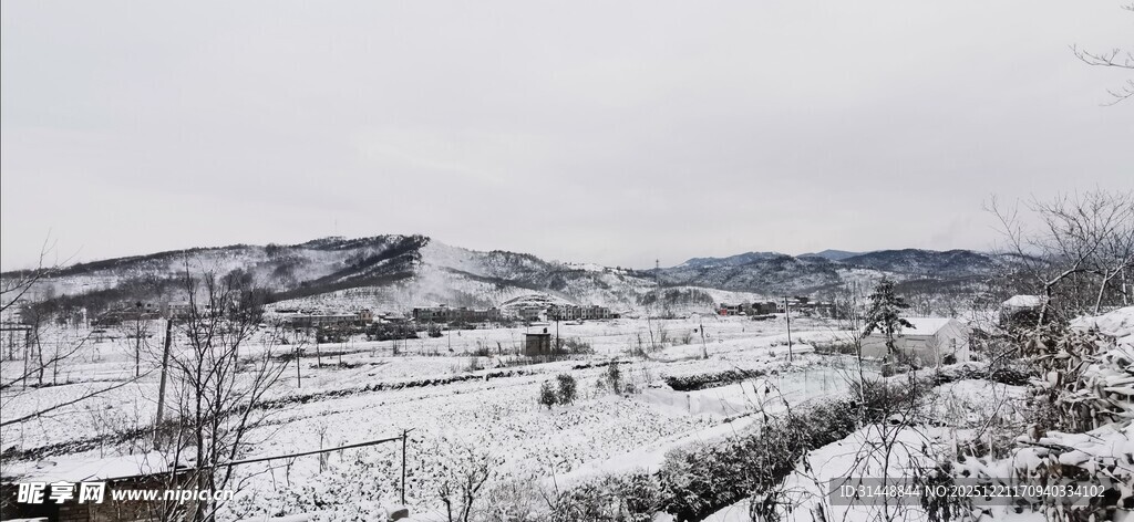 冬日雪景中的开阔场地