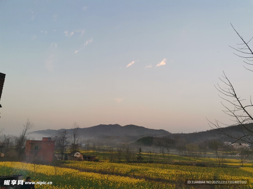 田野风光中的静谧乡村景色