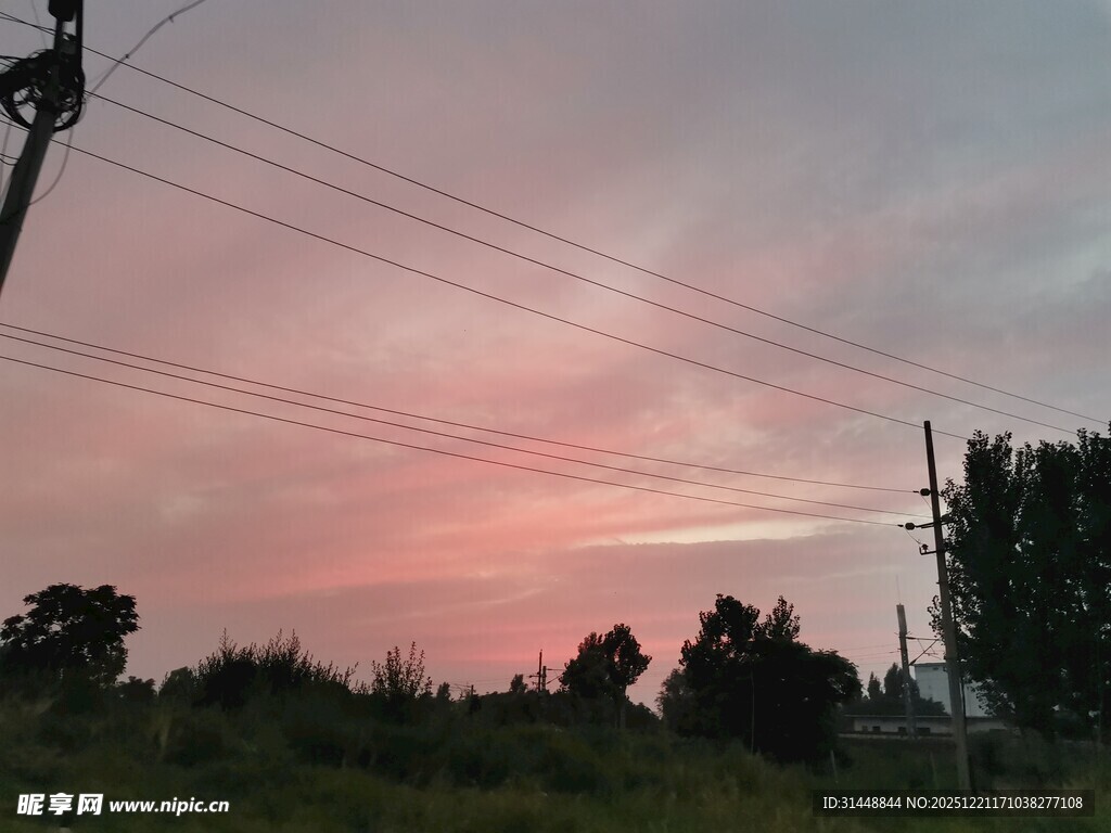 黄昏时的绚烂天空与树木