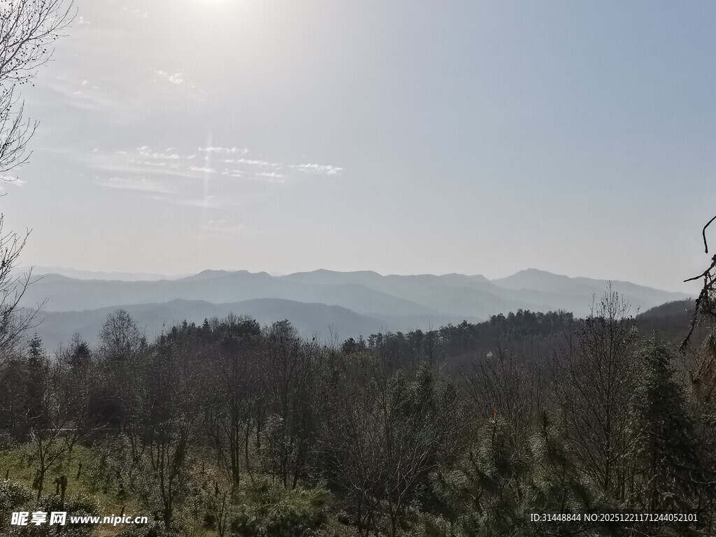 山林间的开阔景致