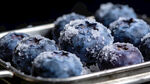 新鲜覆霜蓝莓诱人呈现