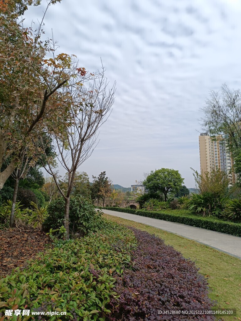 城市园林景观中的绿植小径