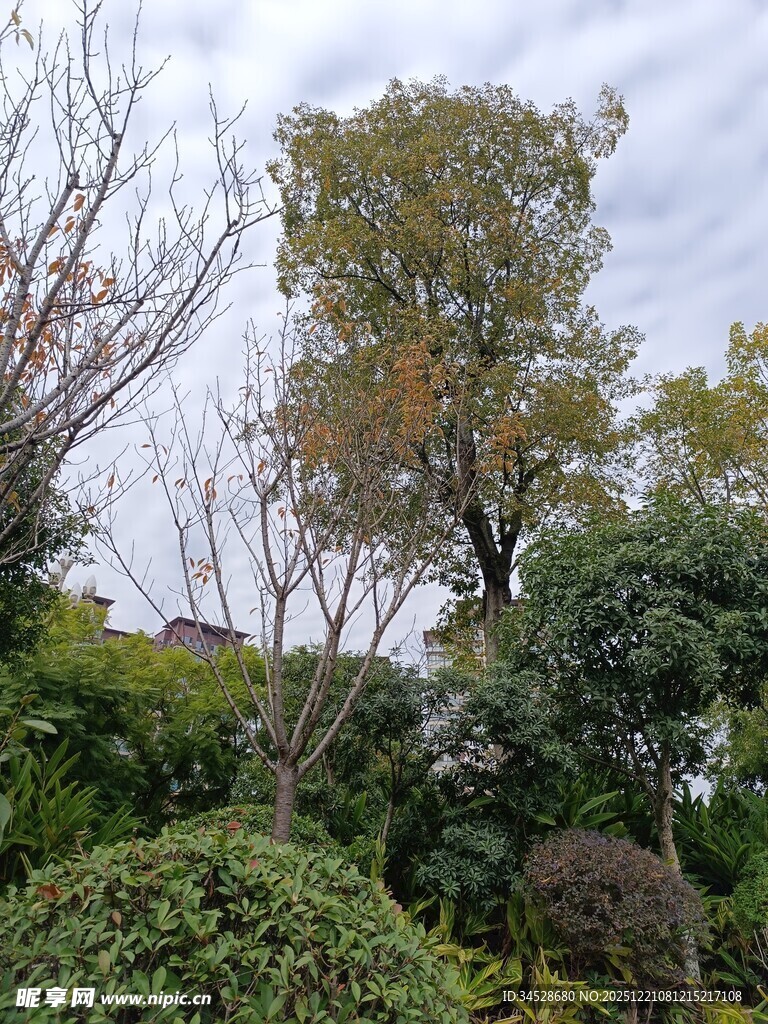 秋日园林绿植景观