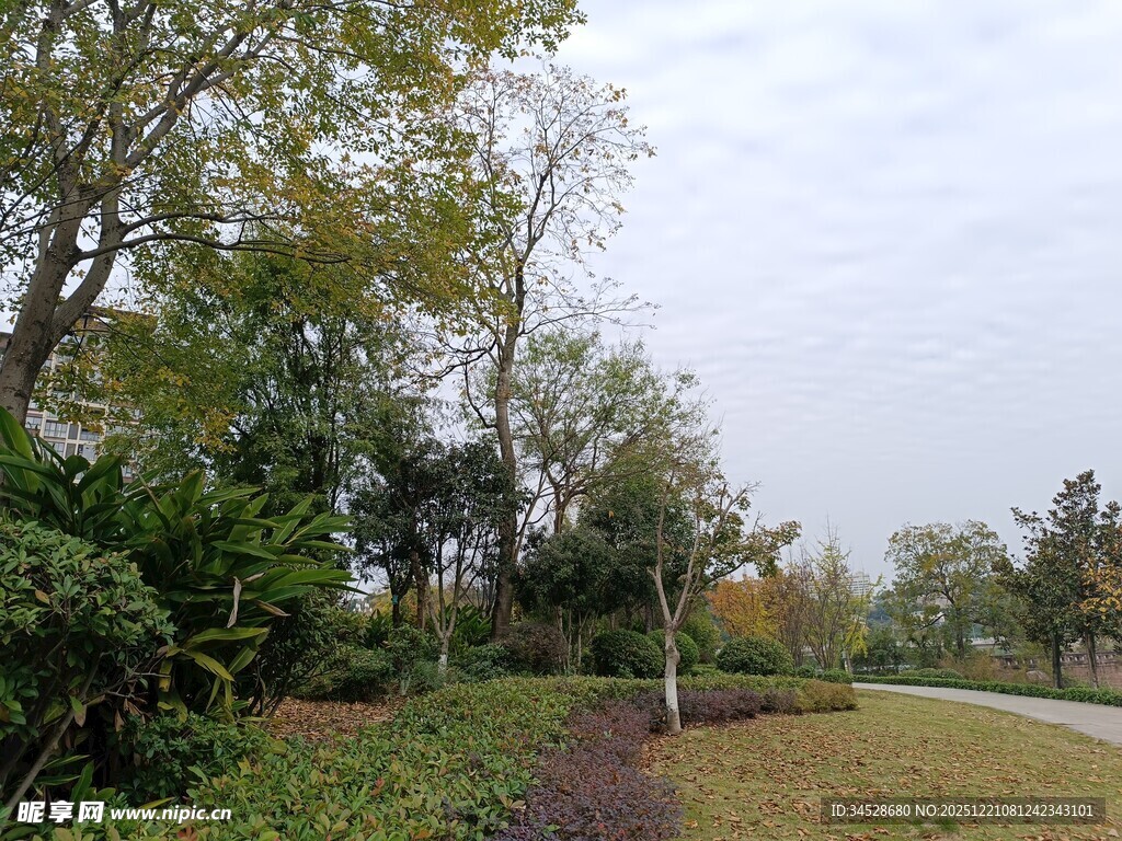 户外绿意盎然的园林景致