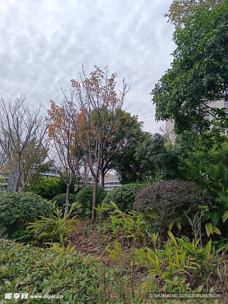 秋日郊野绿植景观