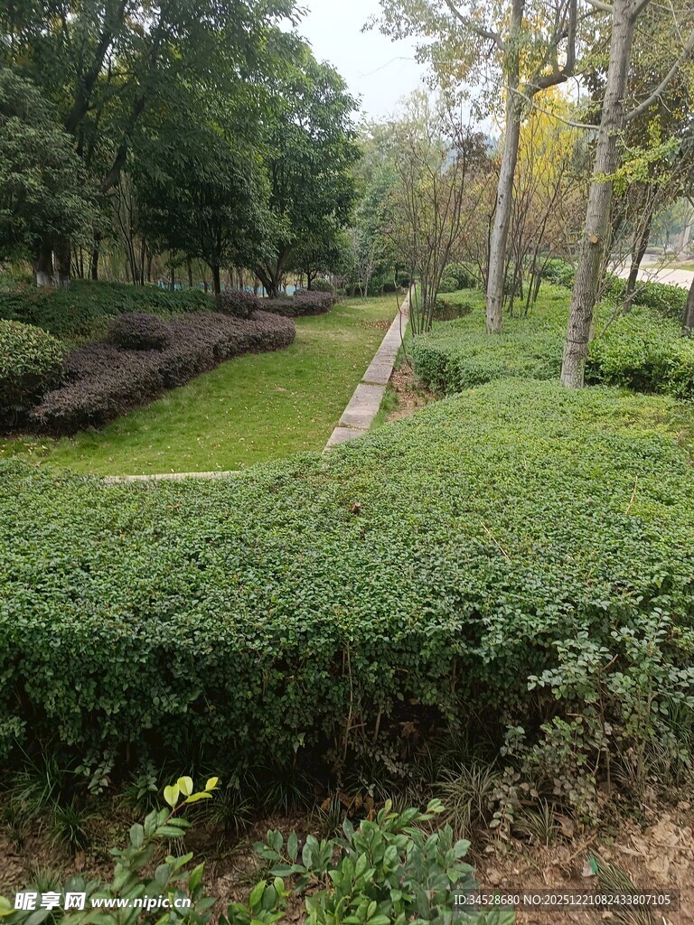 绿意盎然的园林景观