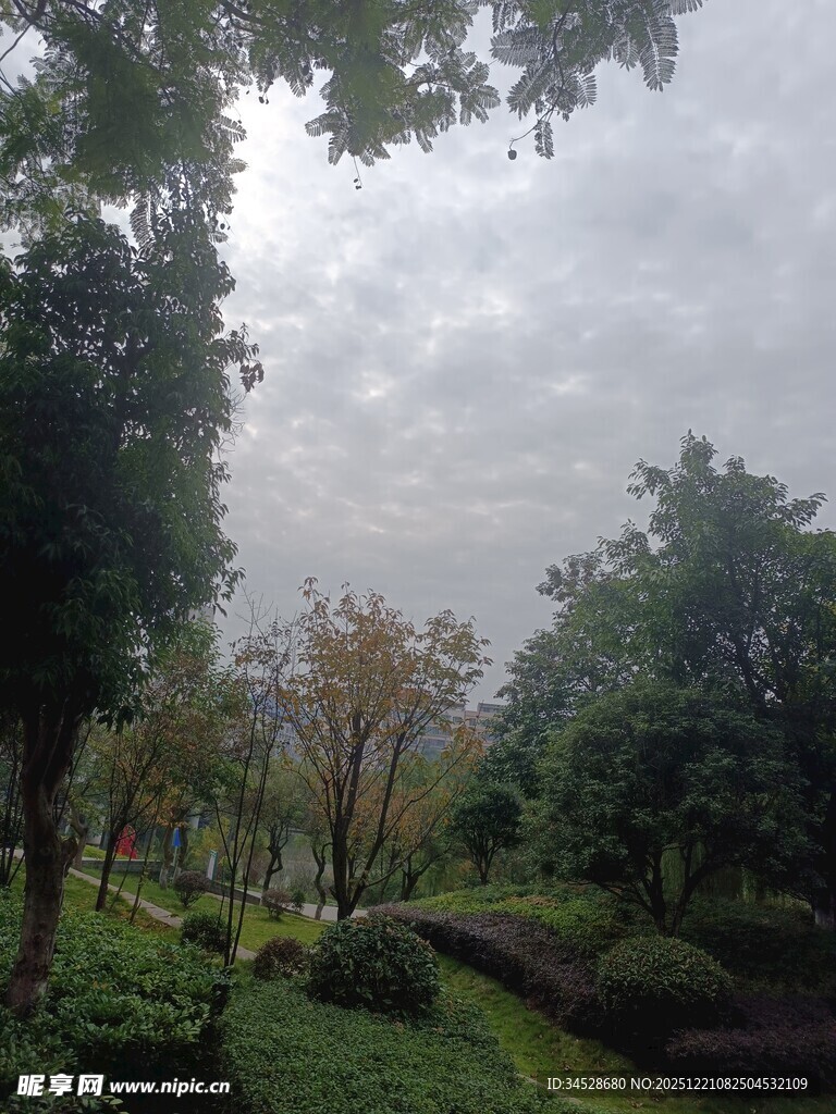 绿意盎然的园林景致