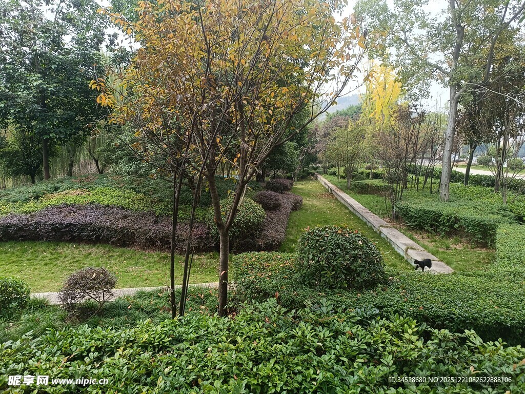 秋日公园绿意盎然景致