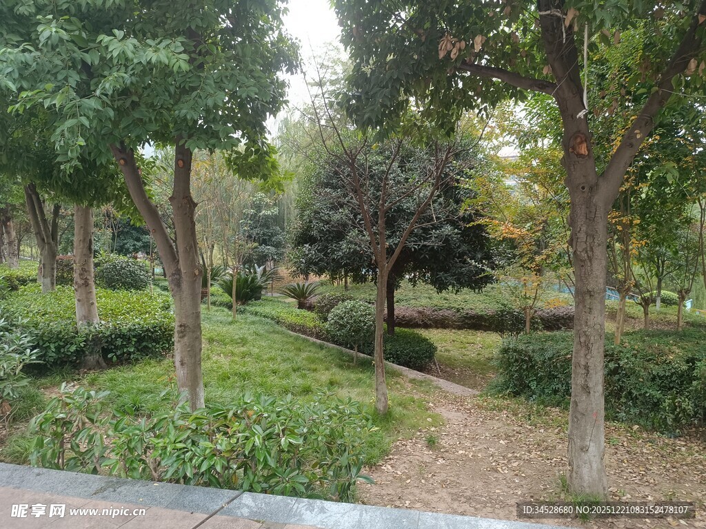 城市中的静谧林间小道