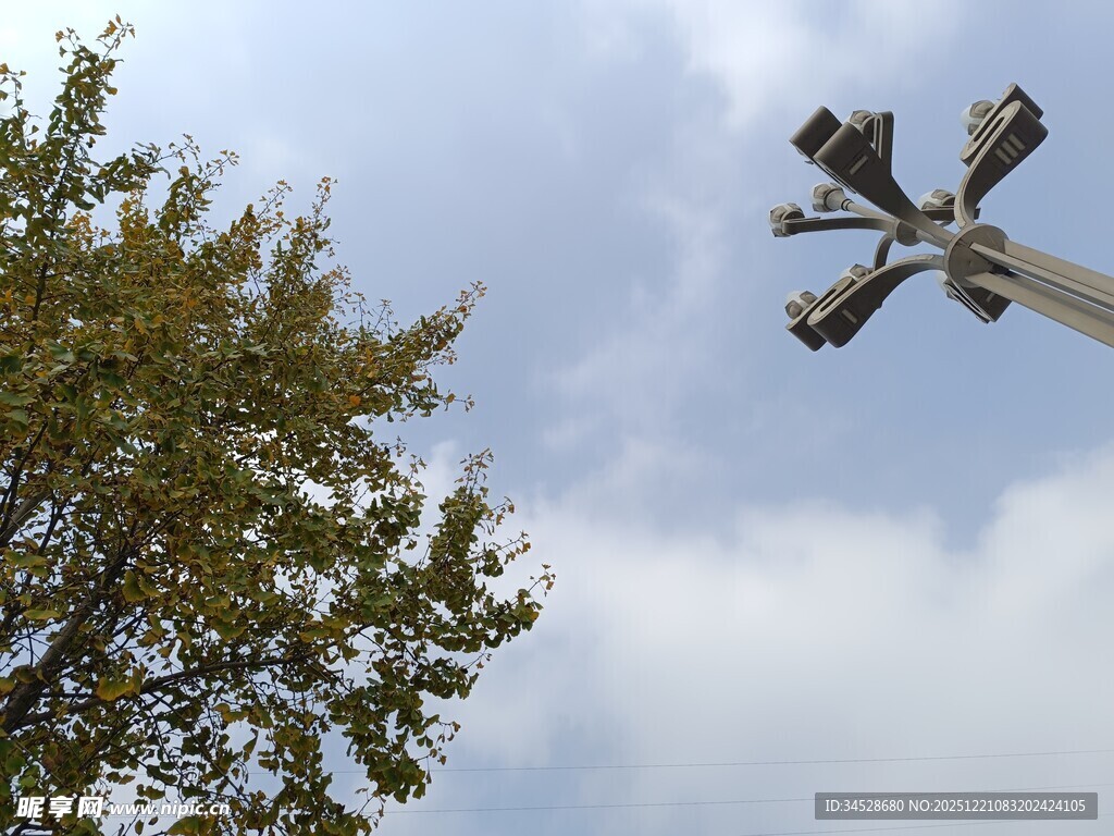 空中旋转设施与绿树