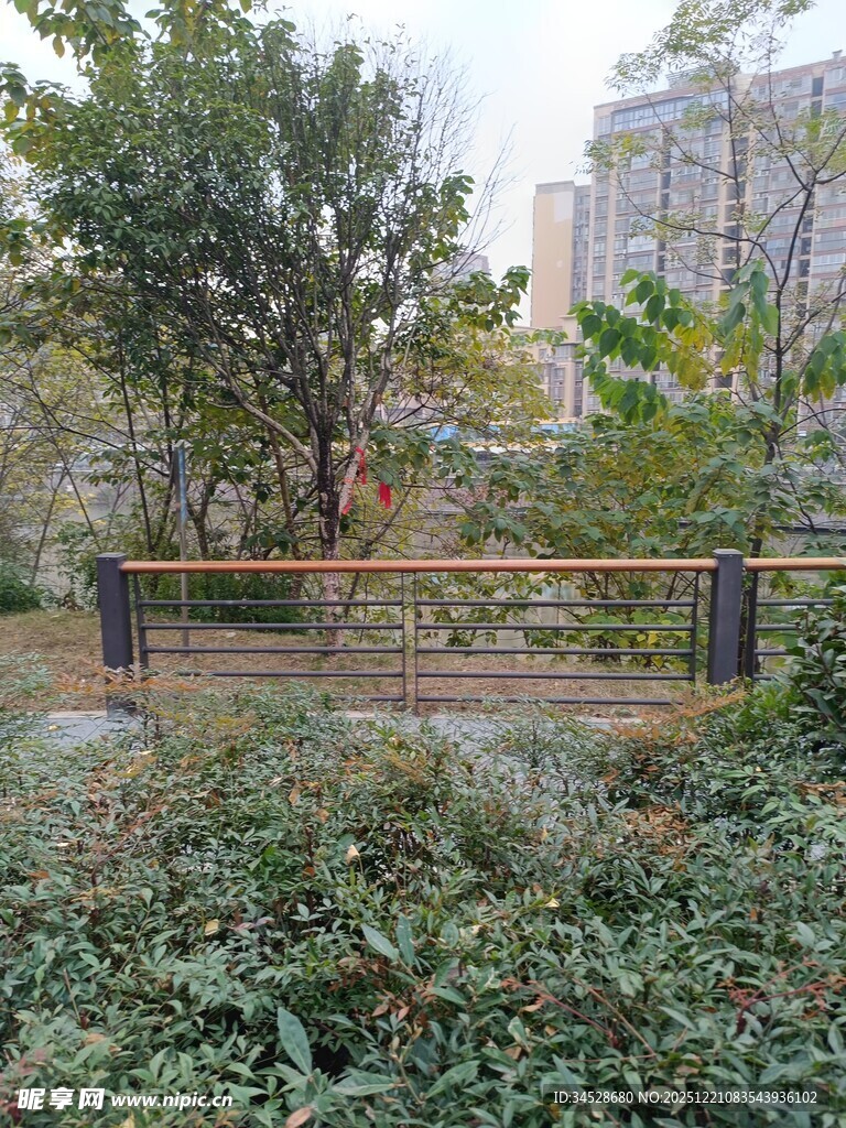 户外绿植环绕的休闲长椅