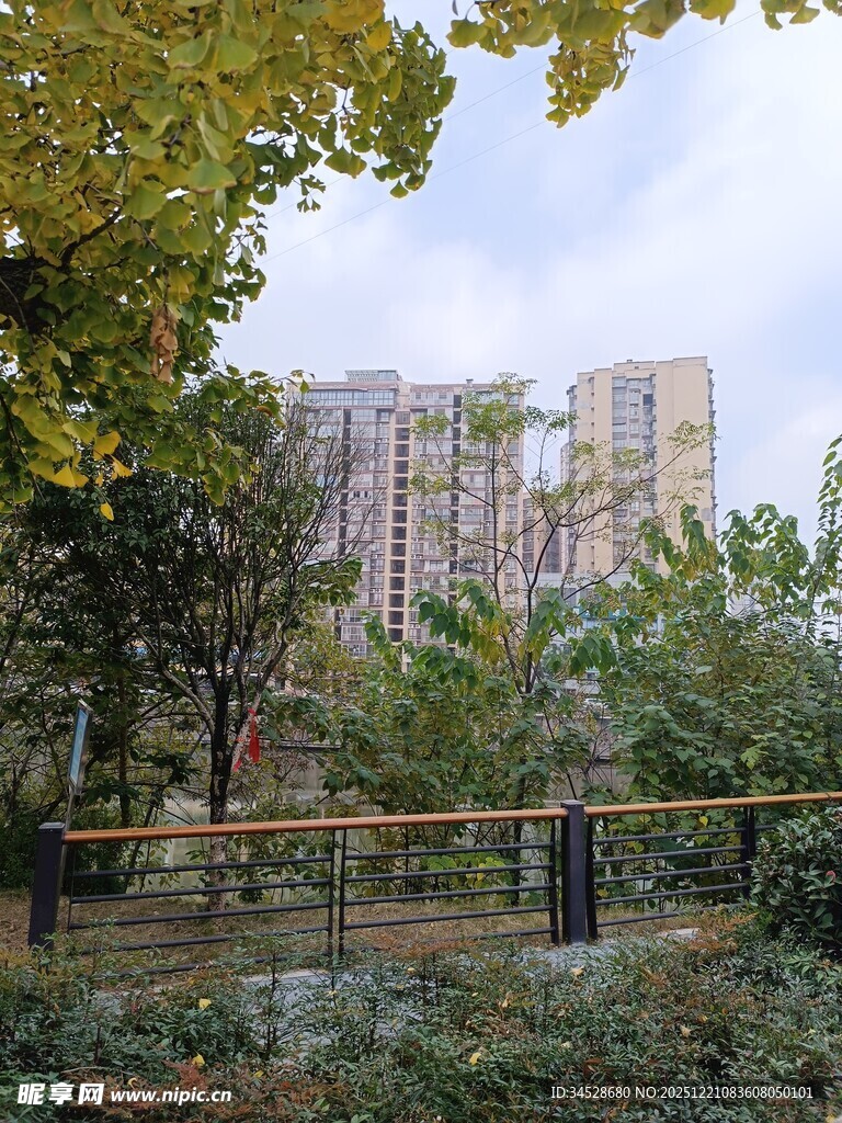 小区周边绿意环绕的景致