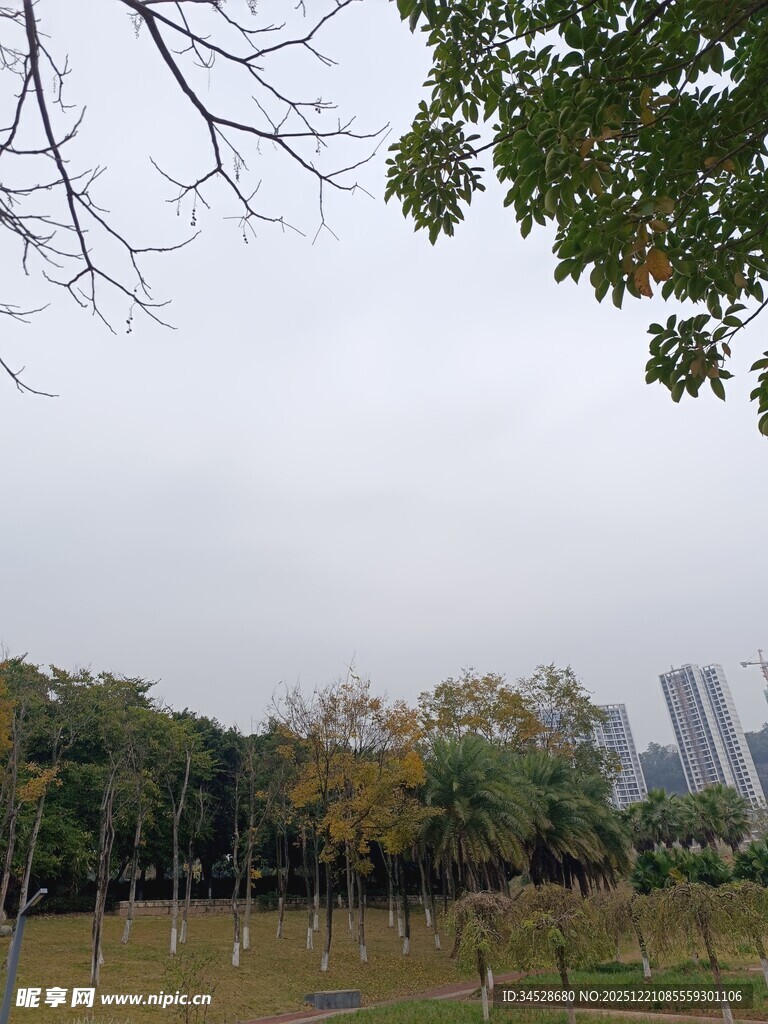 城郊秋日公园景致