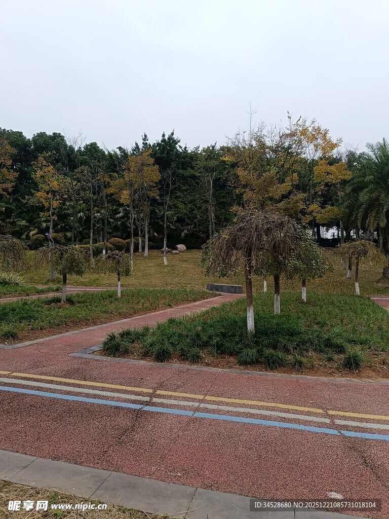 公园中的蜿蜒彩色步道