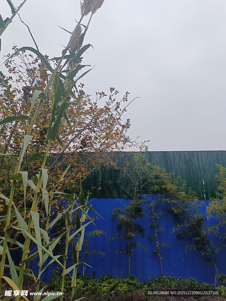 蓝色水域旁的植物景观