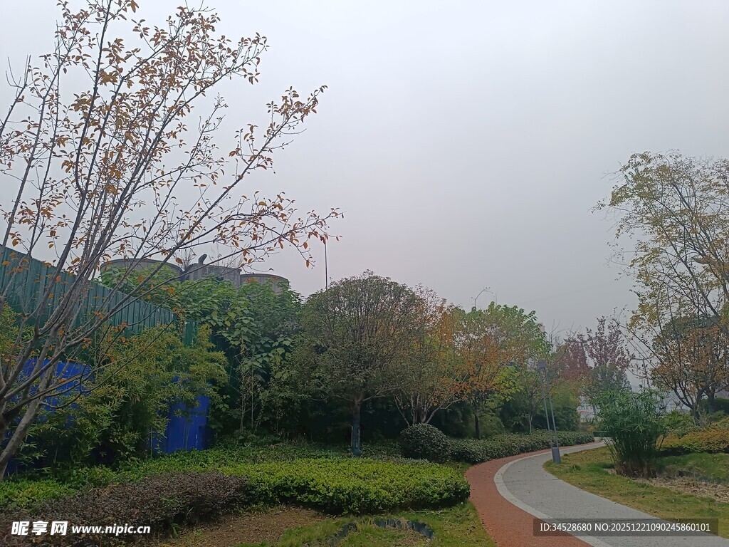 秋日公园蜿蜒小径风景