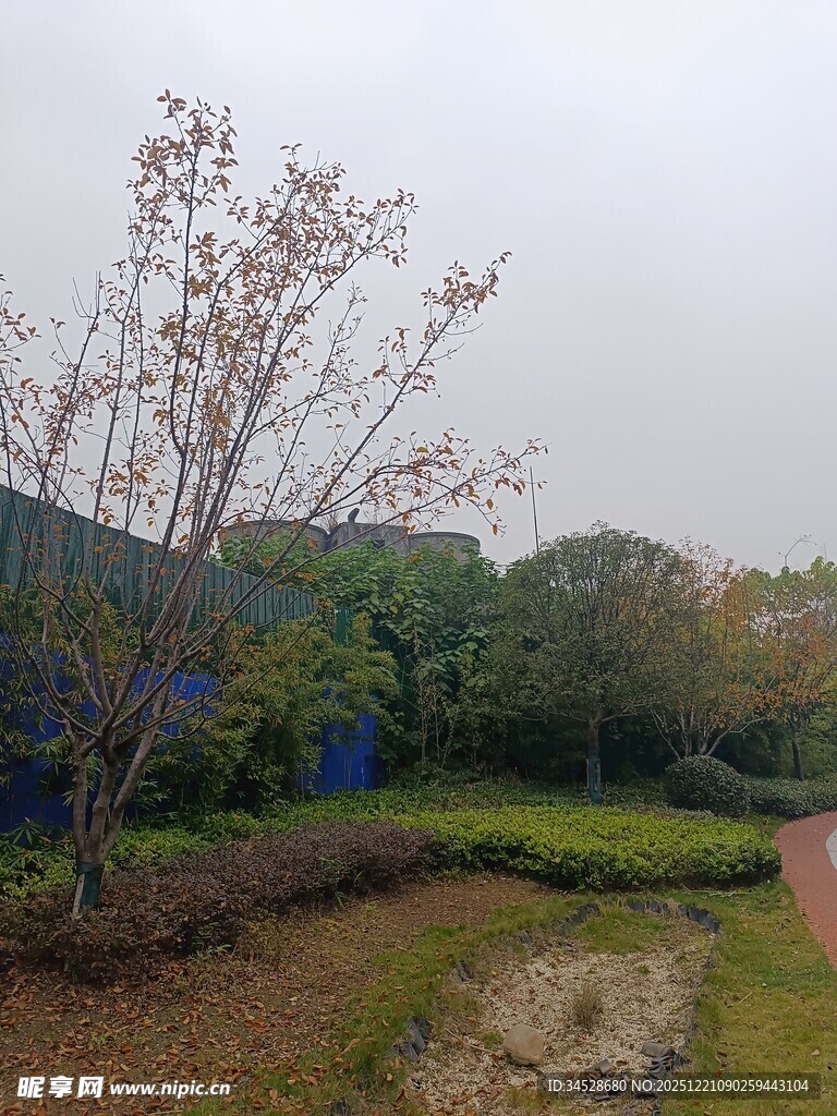 户外园林景观景色