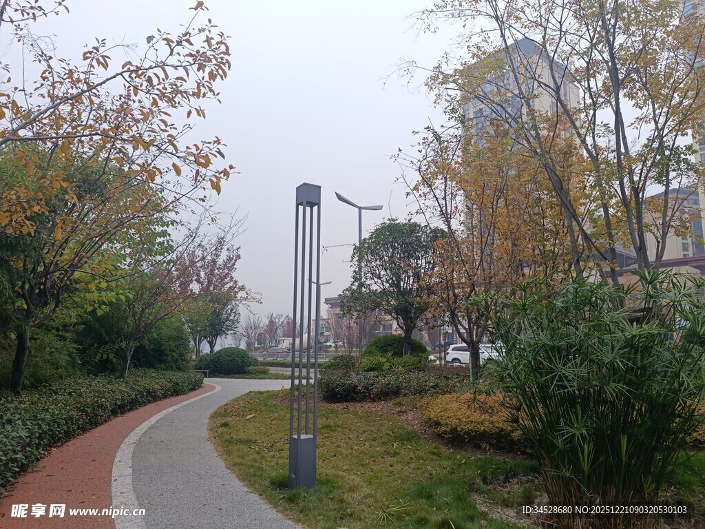 城市公园中的蜿蜒小路