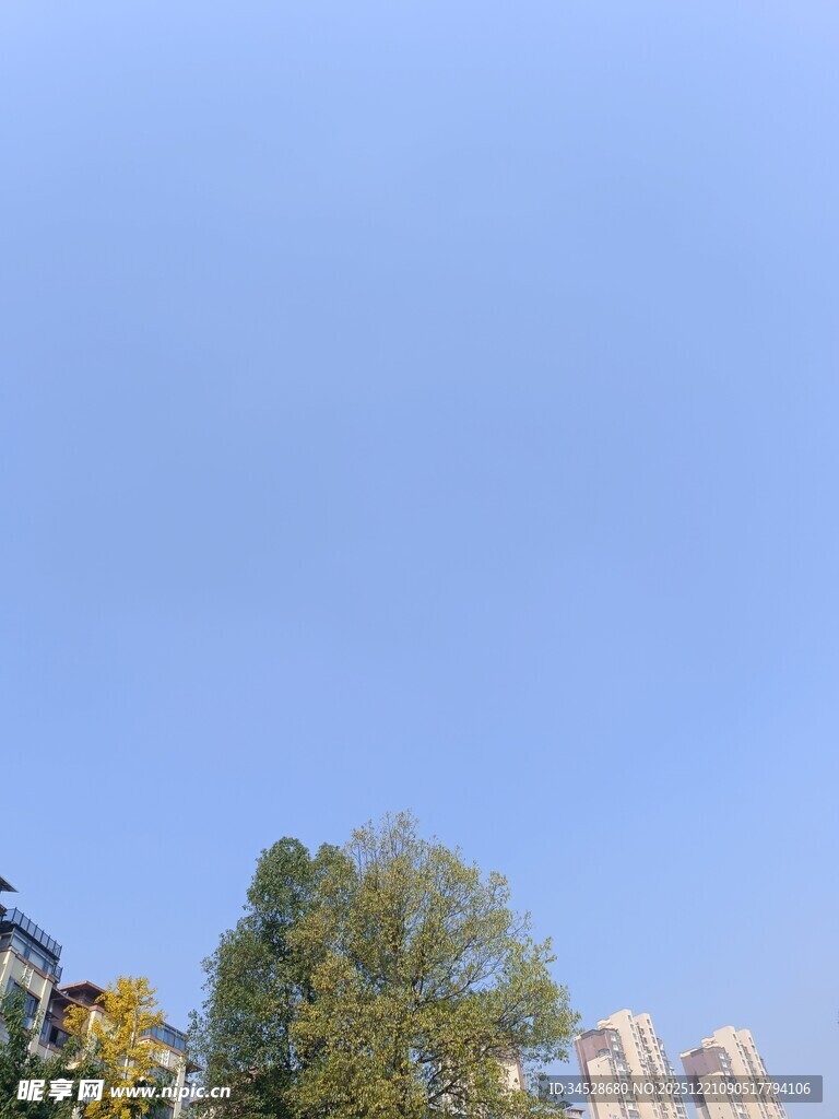 蓝天绿树旁的建筑