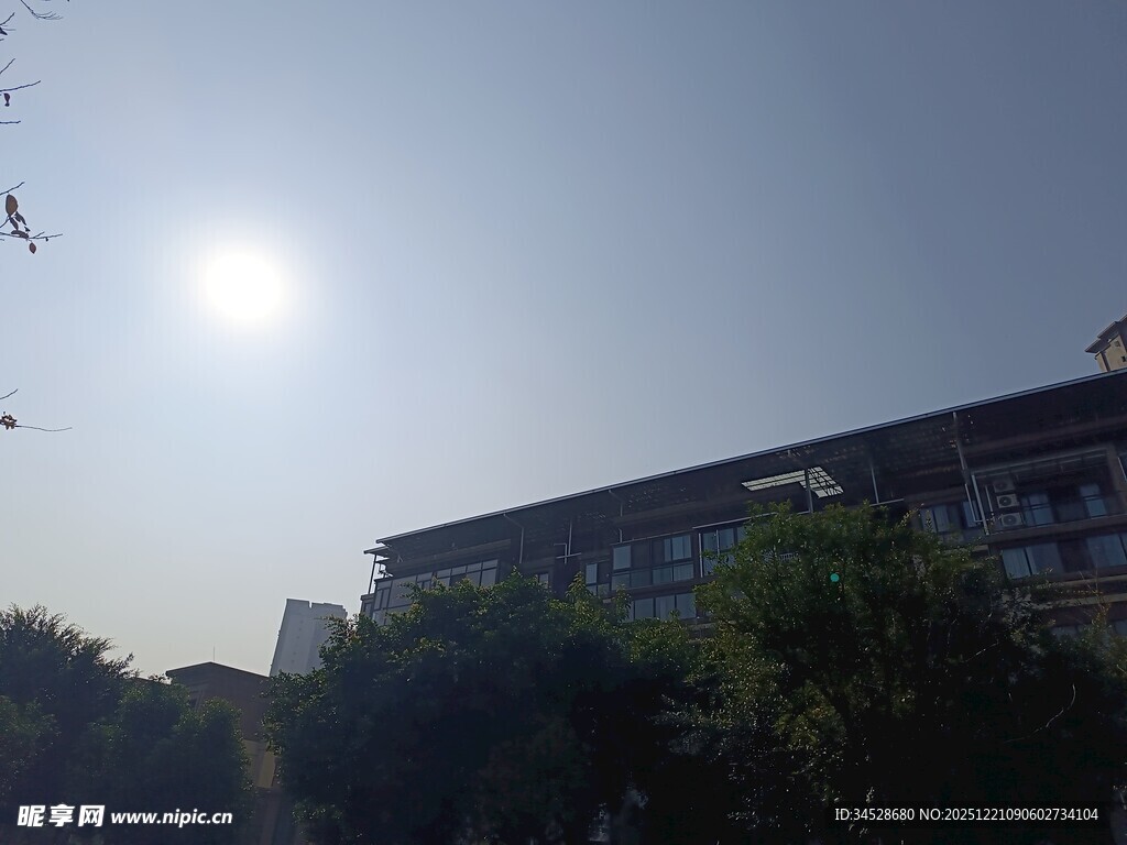 阳光下的建筑与绿植