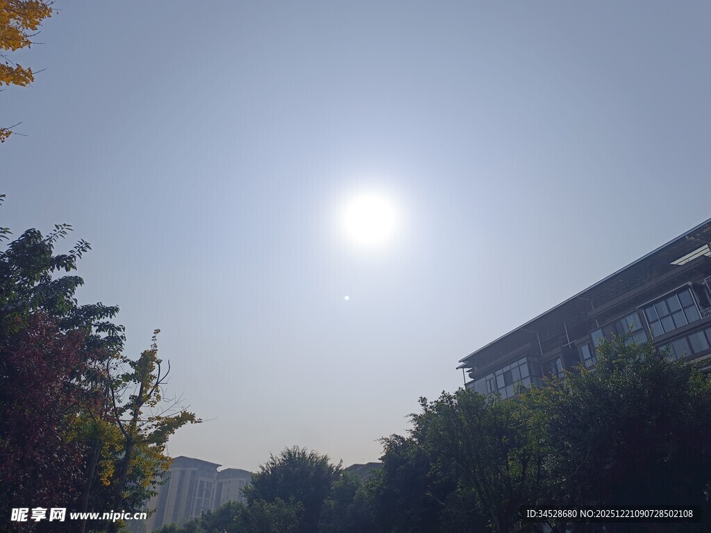 阳光下的建筑与绿植