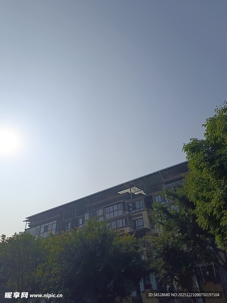 阳光下的建筑与绿树