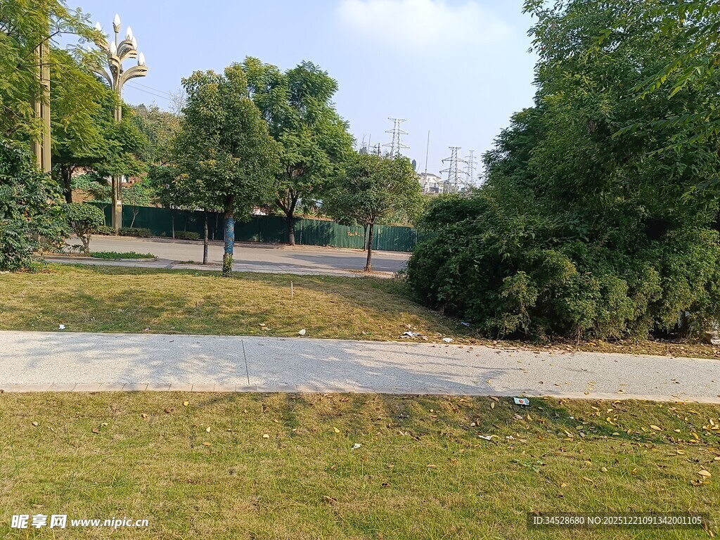 户外静谧的林荫小道