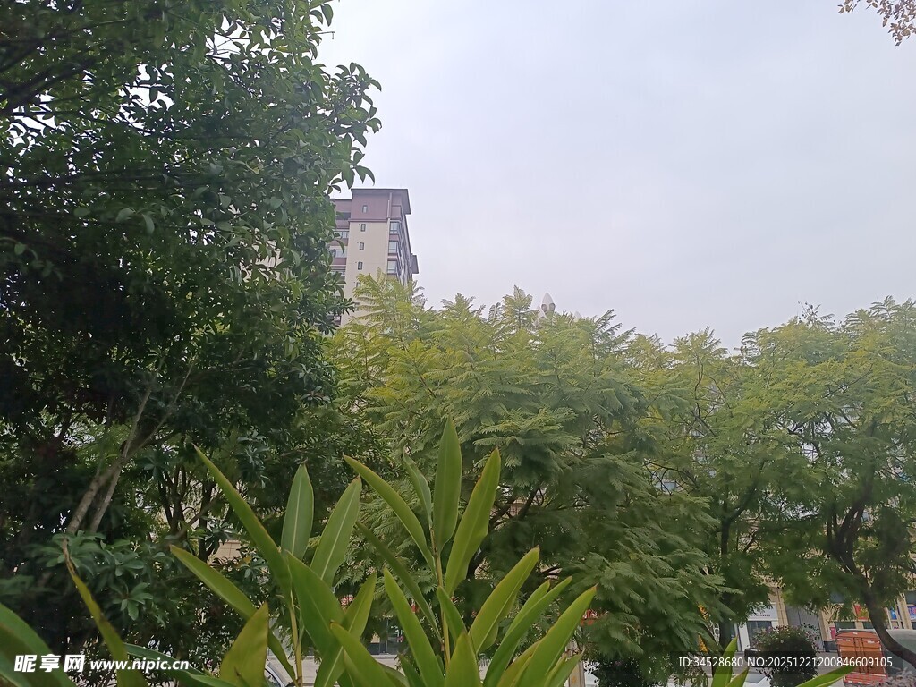 绿树环绕中的建筑景观