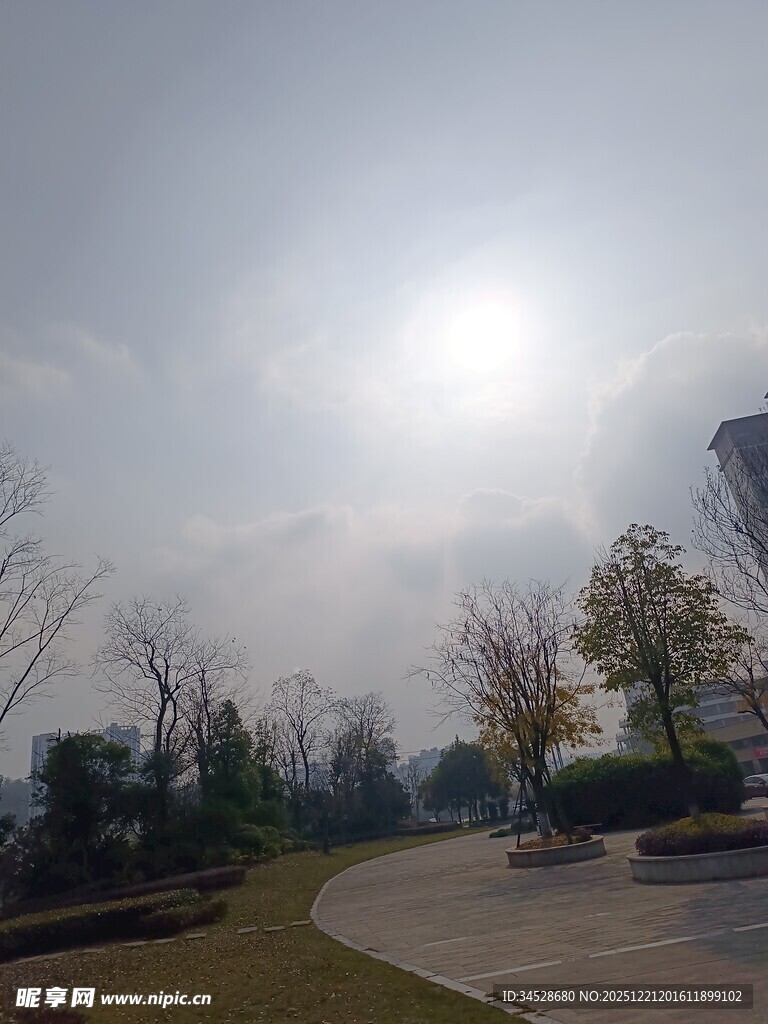 公园阳光小路风景