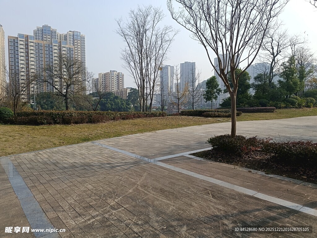 城市公园中的空旷步道景观