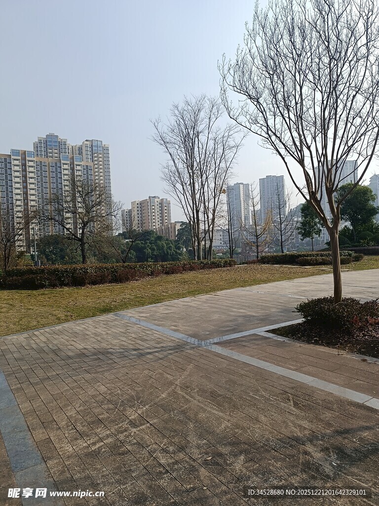 城市公园中的静谧步道景观