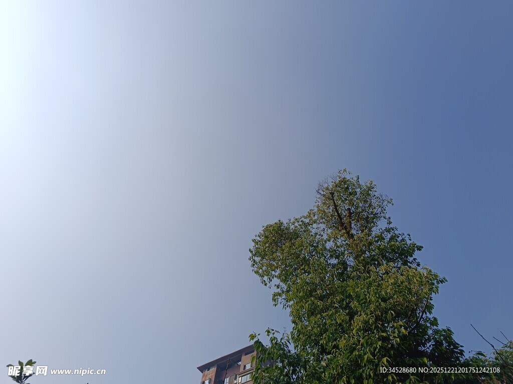 蓝天绿树旁的建筑