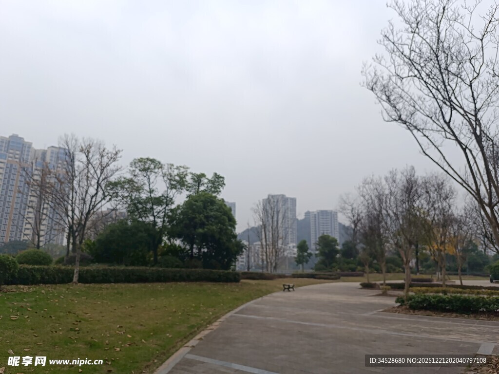 城市公园中的宁静小路