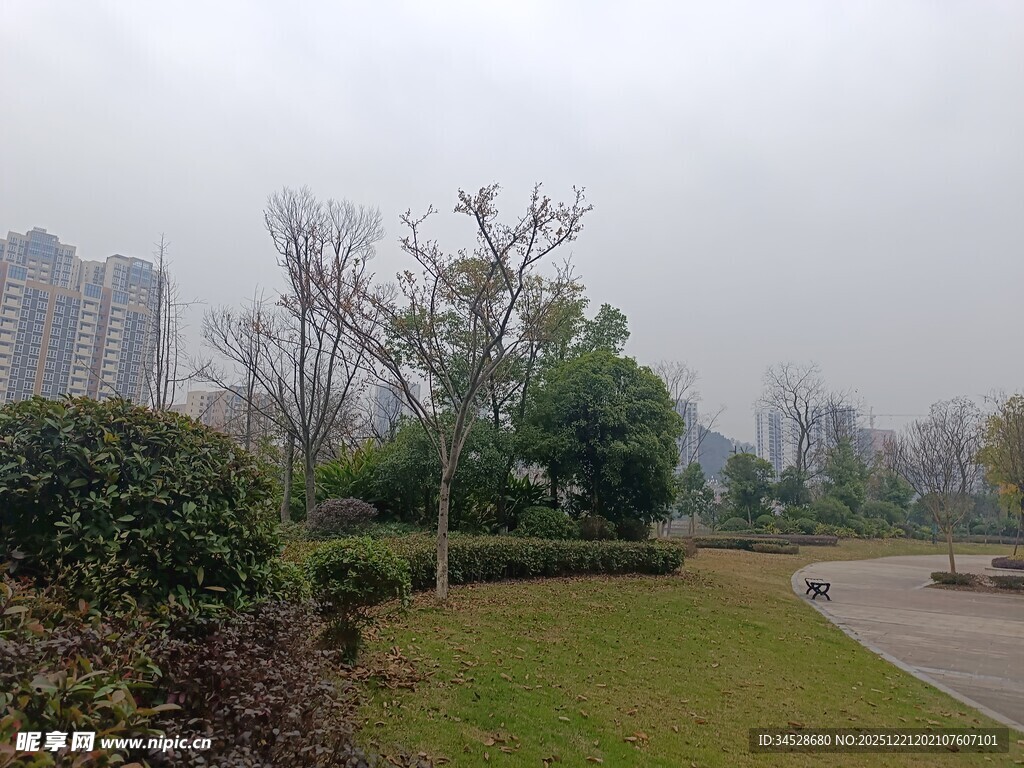 城市公园的朦胧景致