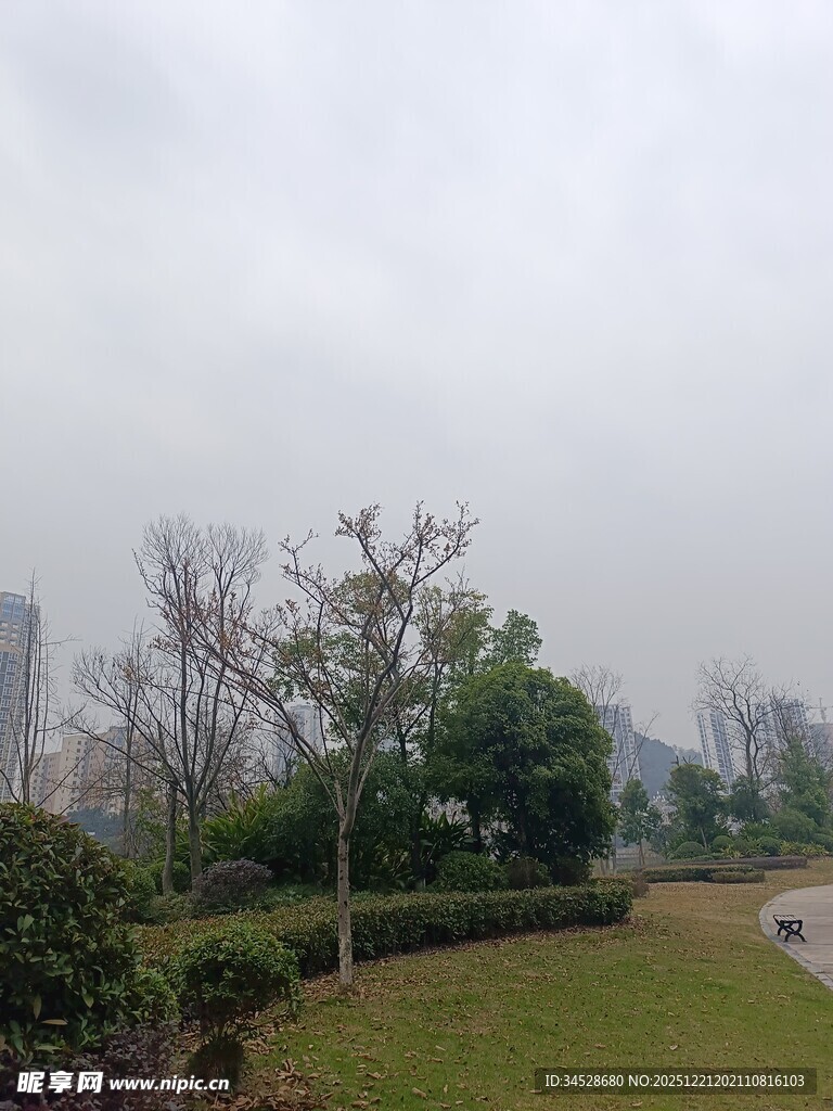 城市公园中的静谧景致