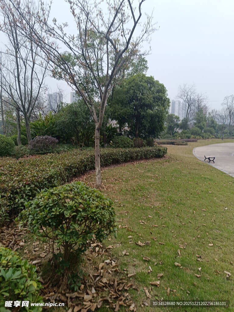 户外园林景观绿化场景