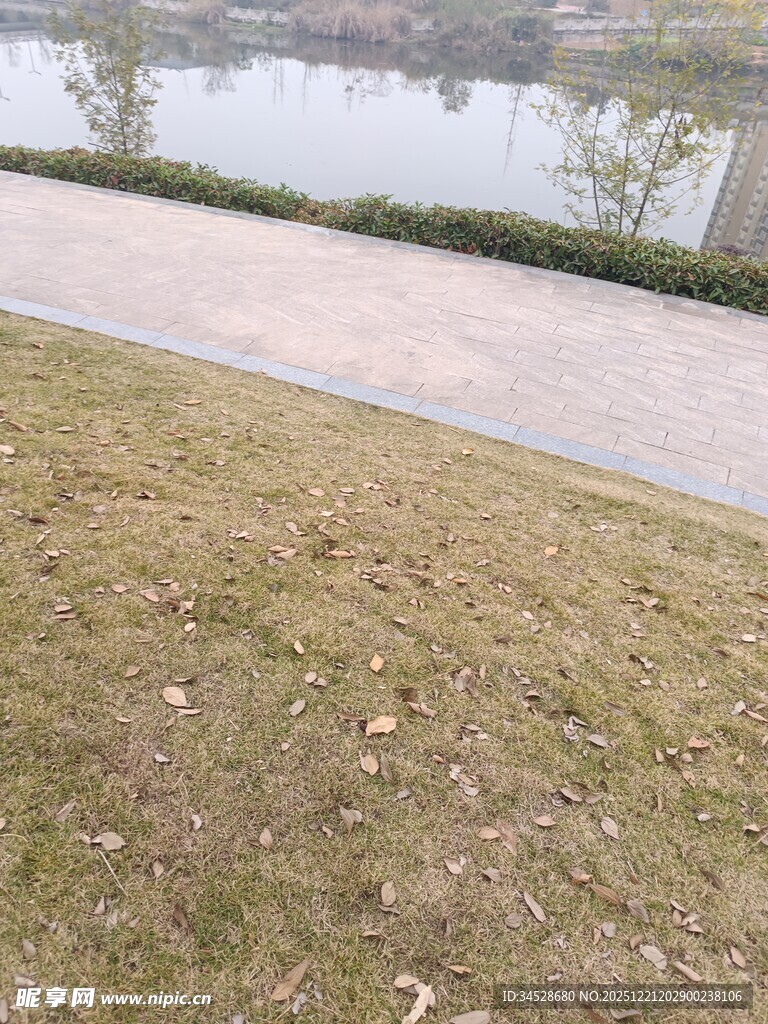 公园草地与湖边步道景色