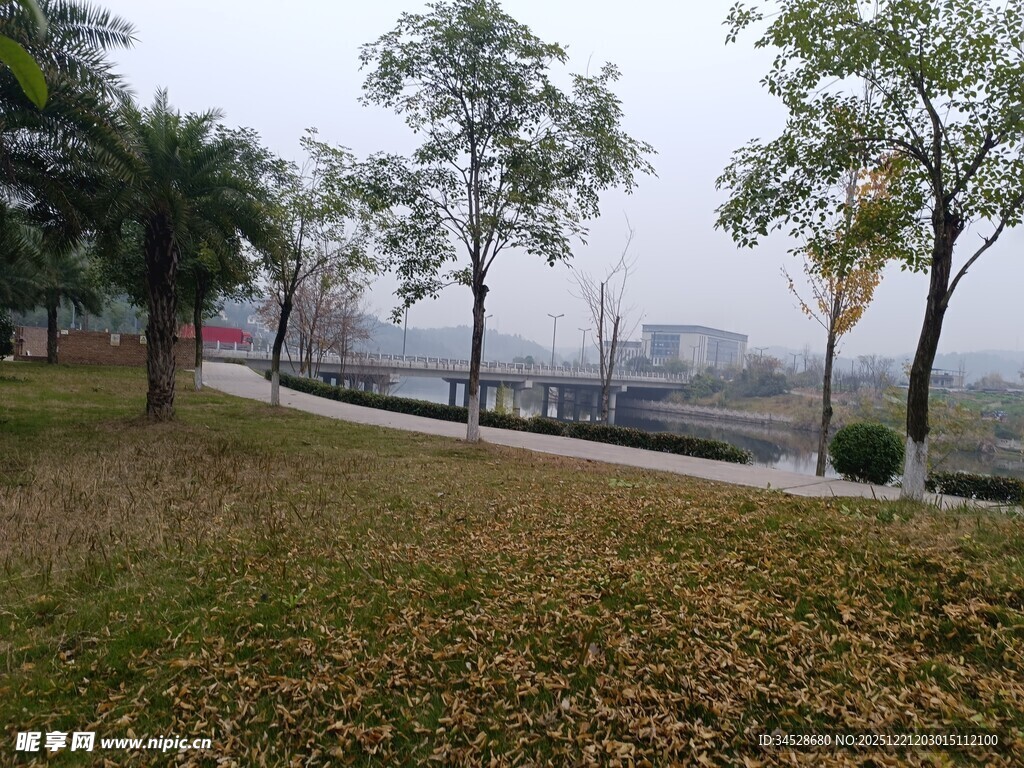 雾中河畔公园景致