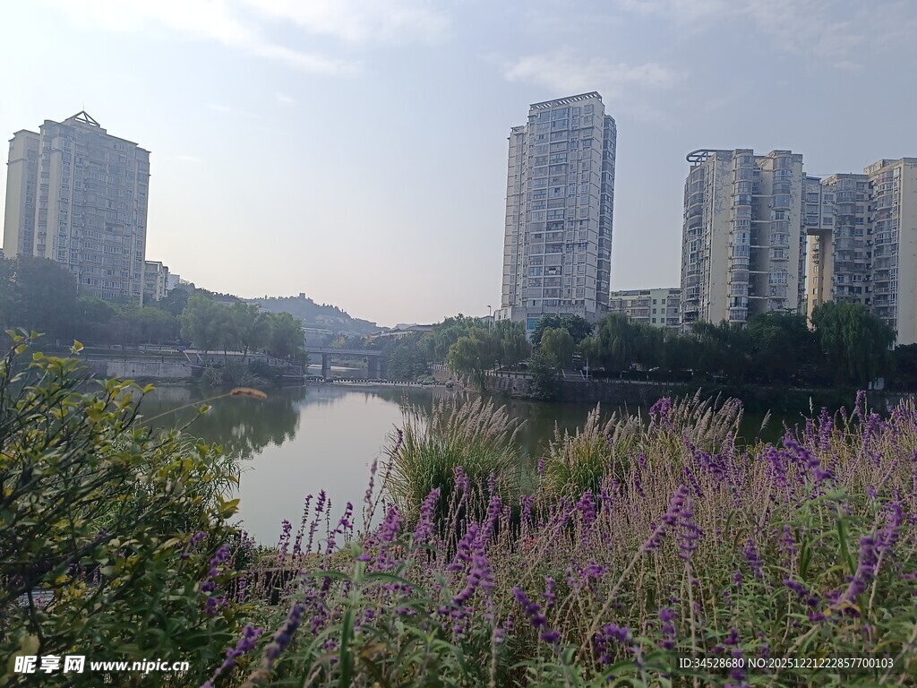 河畔繁花与林立高楼