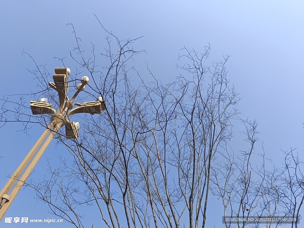 户外高杆上的多组照明灯具