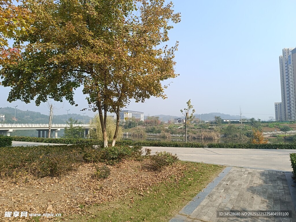 城市公园中的秋日景致