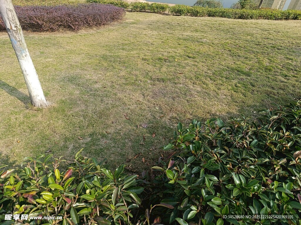 户外草地绿植景观