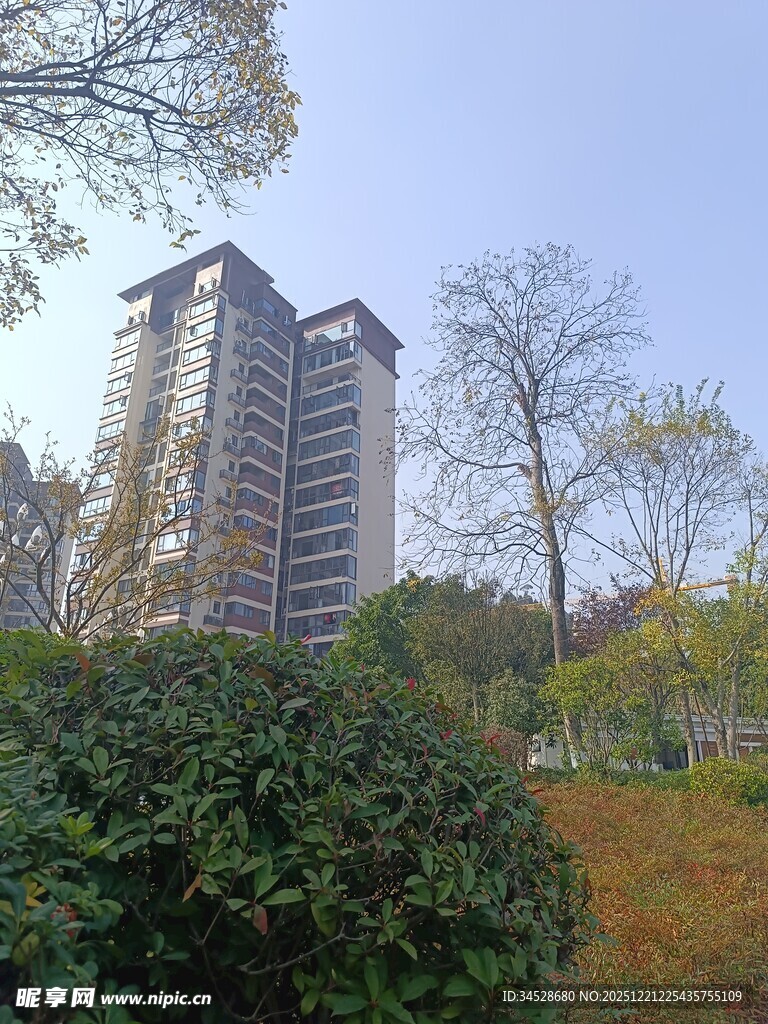 城市中高楼与绿植景观