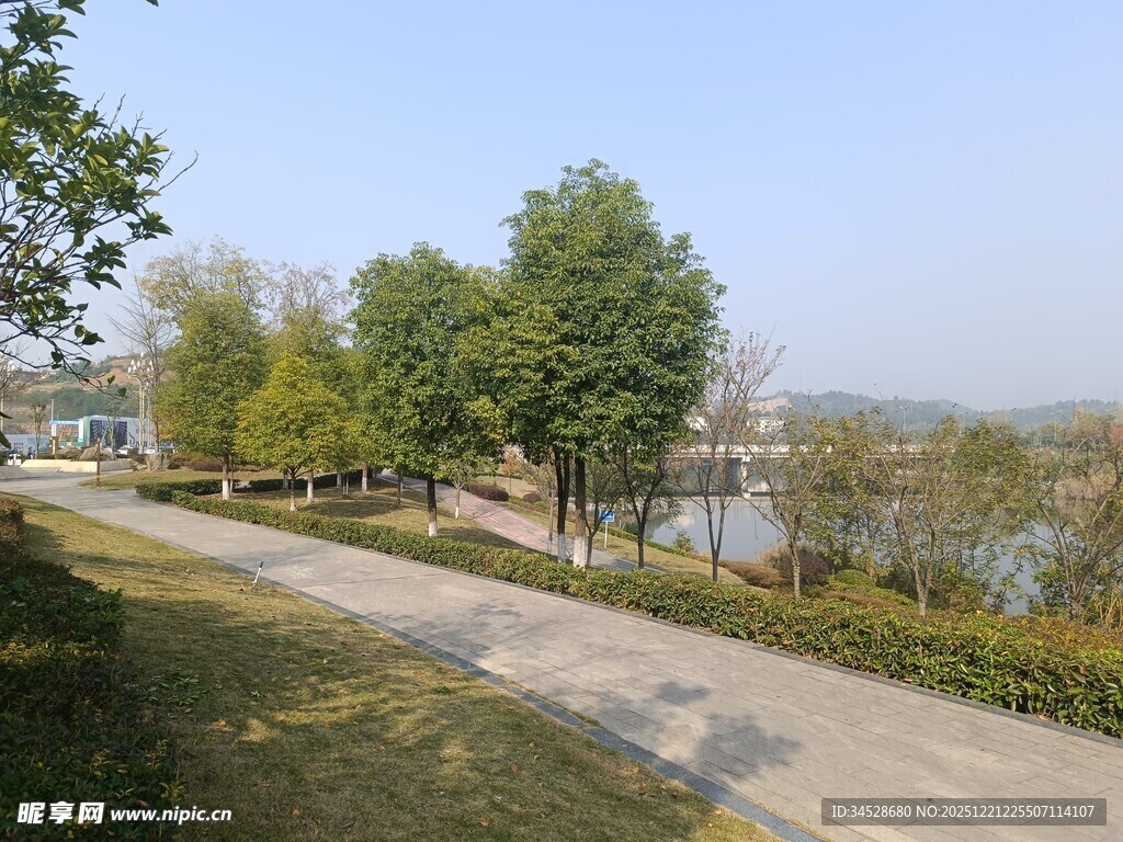 湖畔林荫小道风景