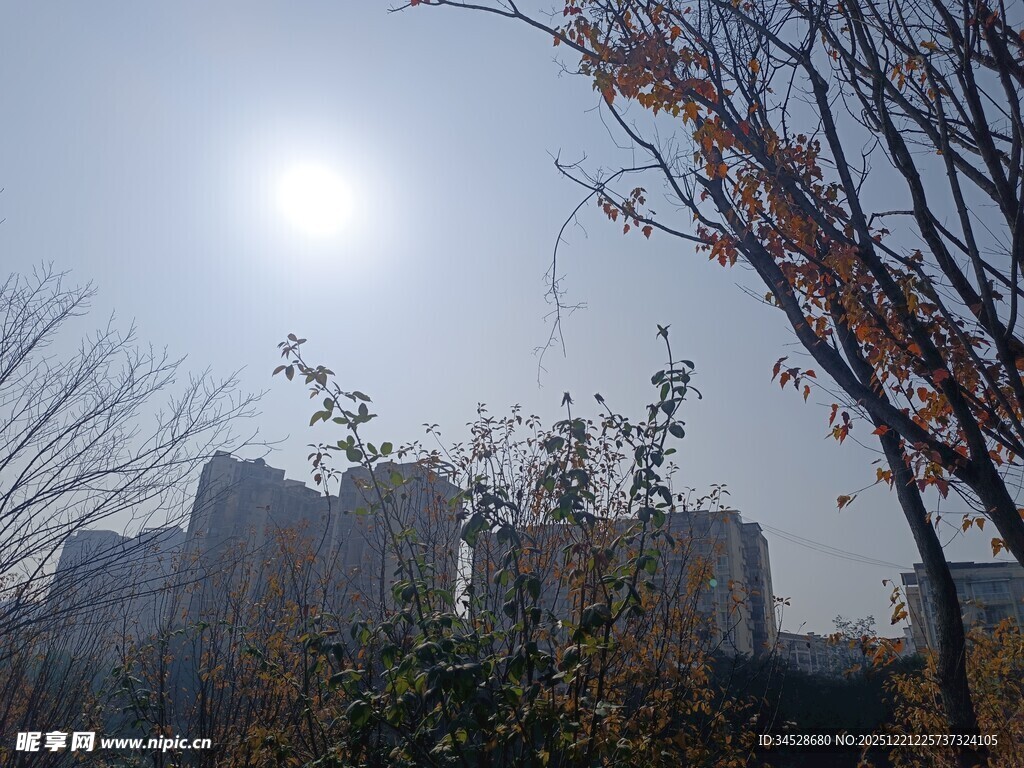 冬日暖阳下的城市景致