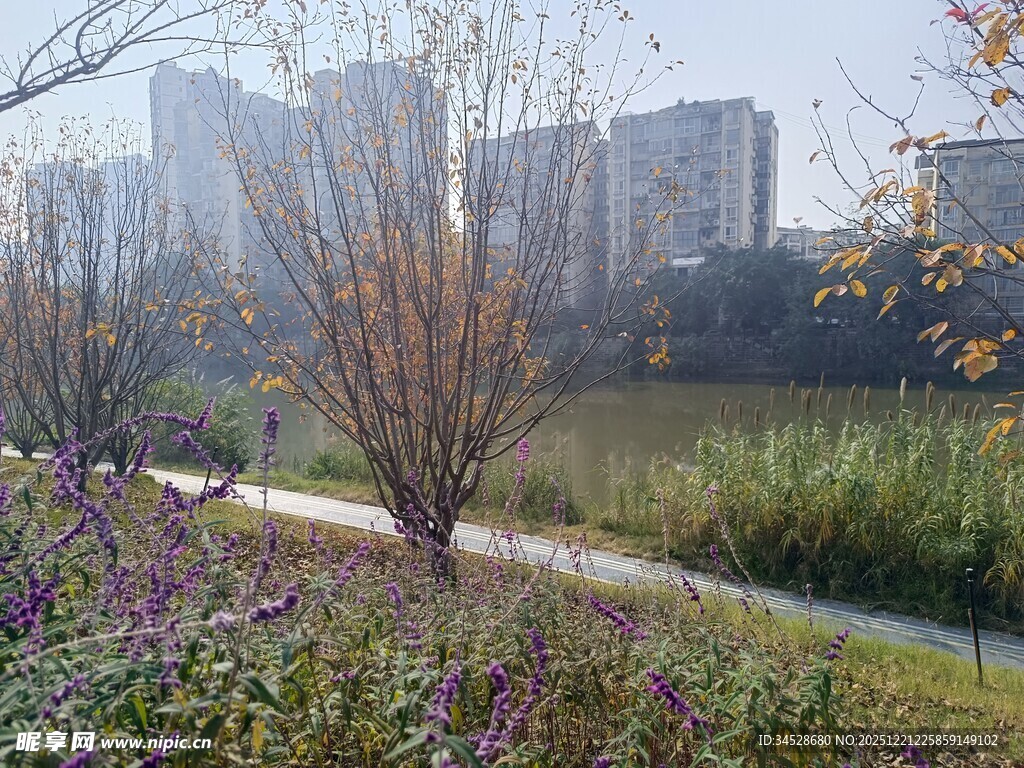 城市河畔秋日美景