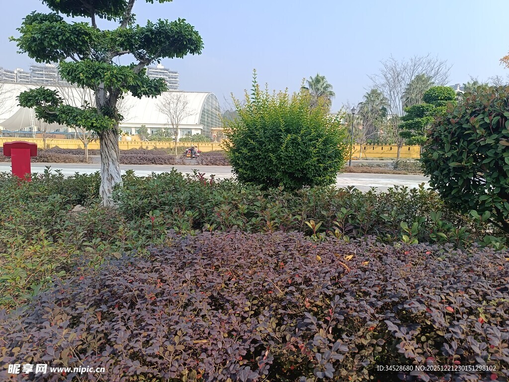 园林景观中的多彩植物