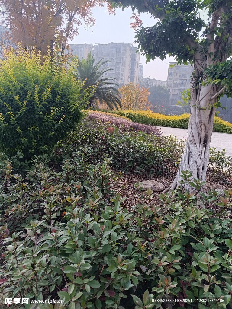 庭院绿植景观一角